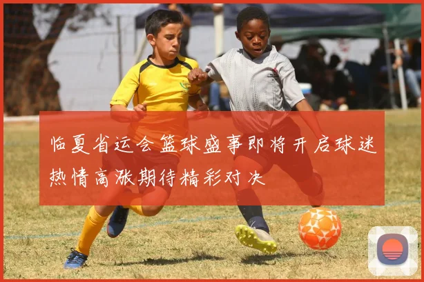 临夏省运会篮球盛事即将开启球迷热情高涨期待精彩对决