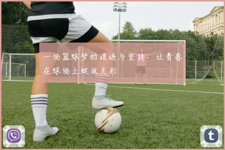 一场篮球梦的追逐与坚持，让青春在球场上绽放光彩