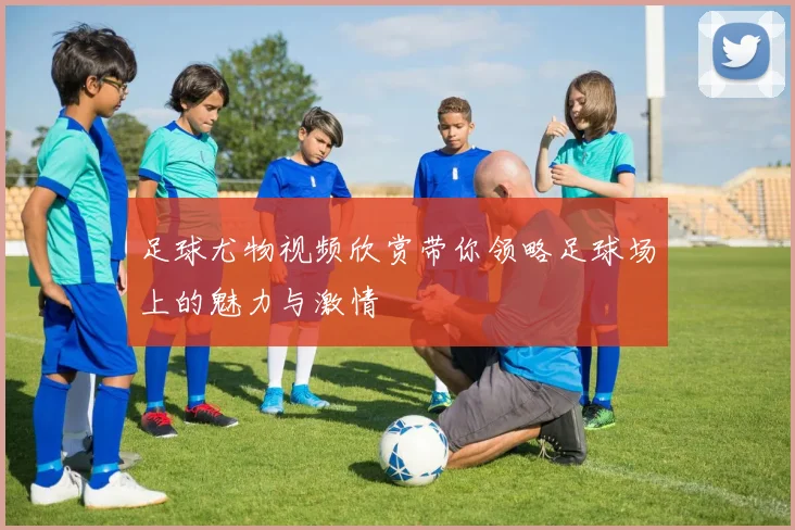 足球尤物视频欣赏带你领略足球场上的魅力与激情