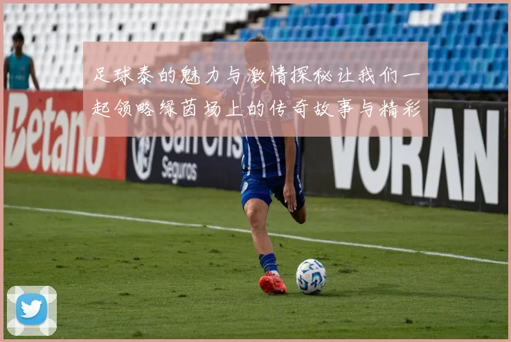 足球泰的魅力与激情探秘让我们一起领略绿茵场上的传奇故事与精彩瞬间