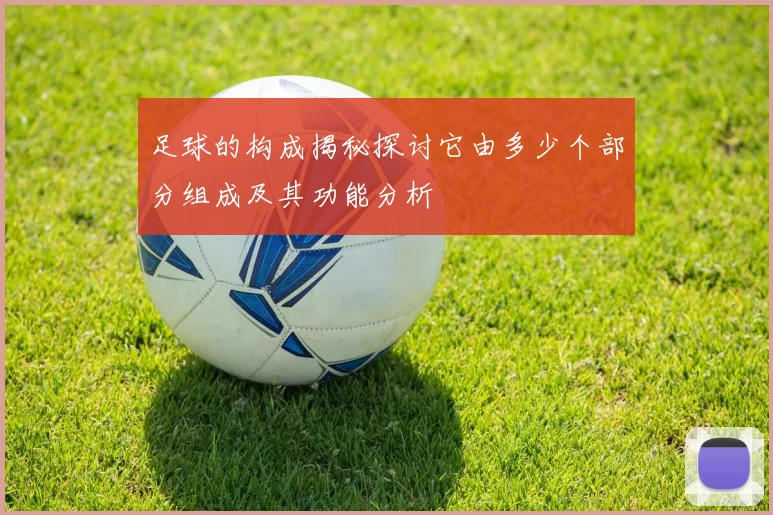 足球的构成揭秘探讨它由多少个部分组成及其功能分析