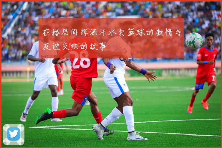 在楼层间挥洒汗水打篮球的激情与友谊交织的故事