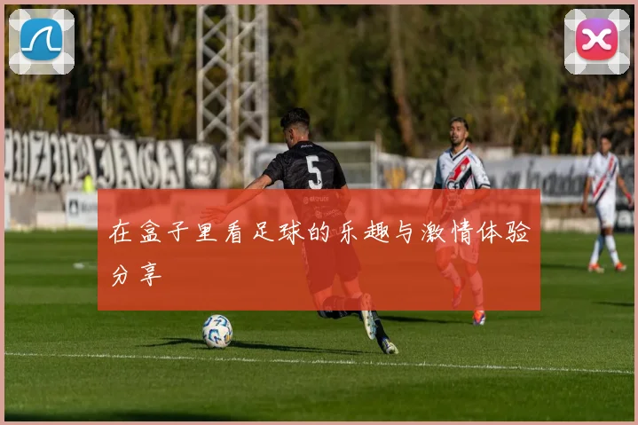 在盒子里看足球的乐趣与激情体验分享